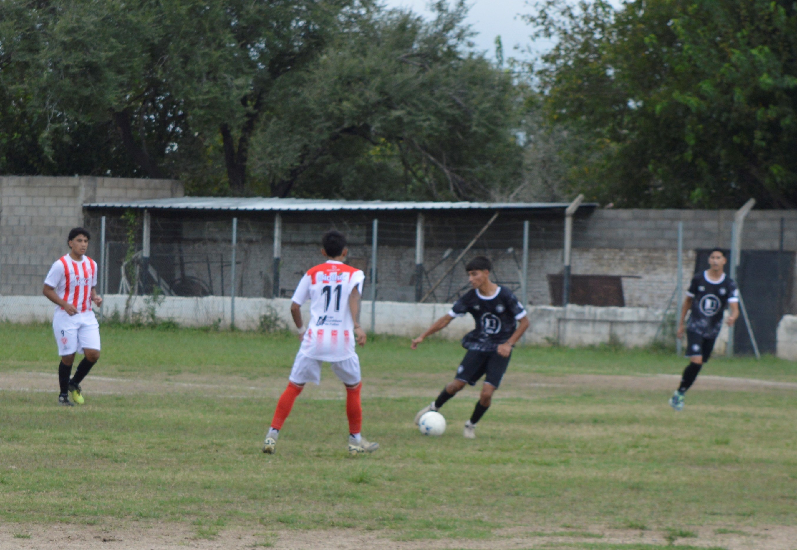 Imagen 3